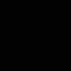 Meet your Posher, Demaris